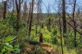 181 Price Creek Rd - Photo 47
