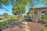 17505 Corte Lomas Verde - Photo 40