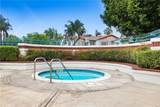 3728 Via Tortola - Photo 25