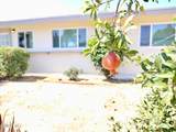 1663 Anderson Street - Photo 20