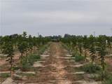 0 Loleta - Photo 5