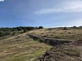22629 Country View Drive - Photo 8