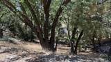 736 Dahlia Drive - Photo 6