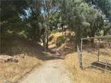 30100 Mulholland - Photo 33