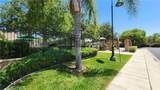 3315 Andreas Palms Way - Photo 53