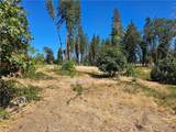 1533 Forest Service Rd - Photo 4