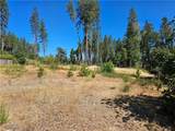 1533 Forest Service Rd - Photo 5