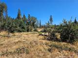 1533 Forest Service Rd - Photo 6