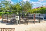 31372 Trigo Trail - Photo 56