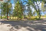 6435 Ventura Drive - Photo 4