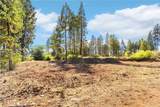 6435 Ventura Drive - Photo 6