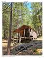 15824 Valhalla Drive - Photo 3