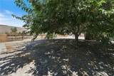 7812 Pearblossom - Photo 20