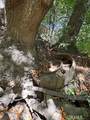 0 Old Creek Road - Photo 14