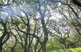 0 Old Creek Road - Photo 19