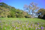 0 Old Creek Road - Photo 3