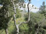 0 Burnt Mill Canyon Road - Photo 5