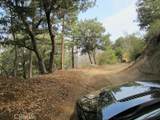 0 Burnt Mill Canyon Road - Photo 7