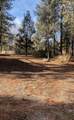 2613 Teakwood Court - Photo 3