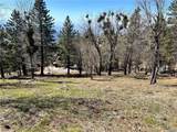 41 Fredalba Road - Photo 7