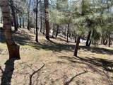 41 Fredalba Road - Photo 8