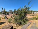 1067 Bille Road - Photo 5