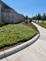 2001 Wildflower Drive - Photo 28