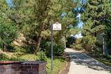 25451 Via Macarena - Photo 34