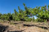 5790 Hog Canyon Road - Photo 29