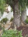 4150 San Ramon Drive - Photo 27