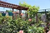 3106 Via Serena - Photo 29