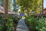 28341 Seco Canyon Road - Photo 46