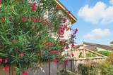 3133 Loma Verde Drive - Photo 52