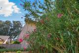 3133 Loma Verde Drive - Photo 57