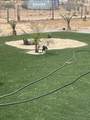 14818 Desert Star Rd Road - Photo 6