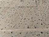 61376 Venus Dr - Photo 19