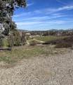 30925 Nicolas Road - Photo 2
