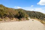 35005 Loma Chiquita Road - Photo 12