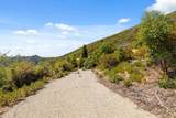 35005 Loma Chiquita Road - Photo 14