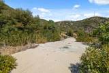 35005 Loma Chiquita Road - Photo 16