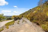 35005 Loma Chiquita Road - Photo 18