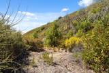 35005 Loma Chiquita Road - Photo 19