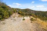 35005 Loma Chiquita Road - Photo 22