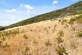 35005 Loma Chiquita Road - Photo 23