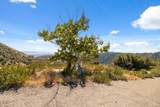 35005 Loma Chiquita Road - Photo 27