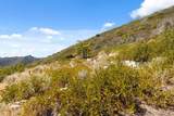 35005 Loma Chiquita Road - Photo 30