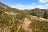 35005 Loma Chiquita Road - Photo 31