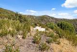 35005 Loma Chiquita Road - Photo 33