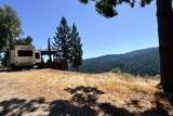 1200 Roberts Road - Photo 5