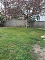 595 Juniper Avenue - Photo 11